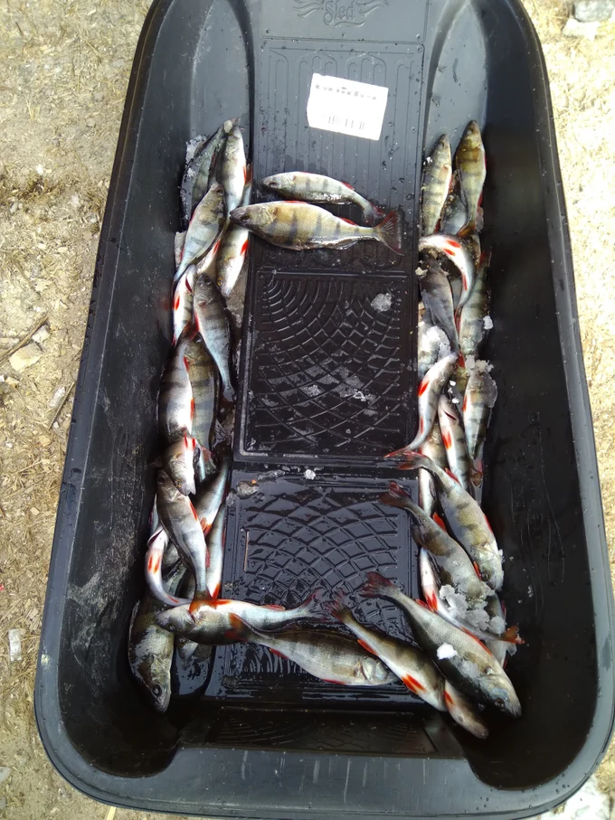 Увлекательная рыбалка